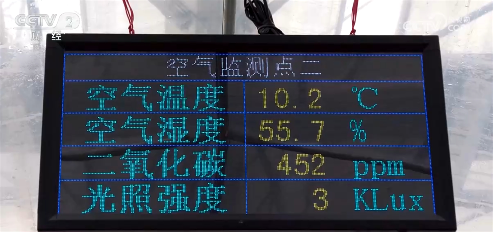 富百姓餐桌 “数”“智”联动带来高收益CQ9电子网站时令蔬果“抢鲜”上市丰(图3)
